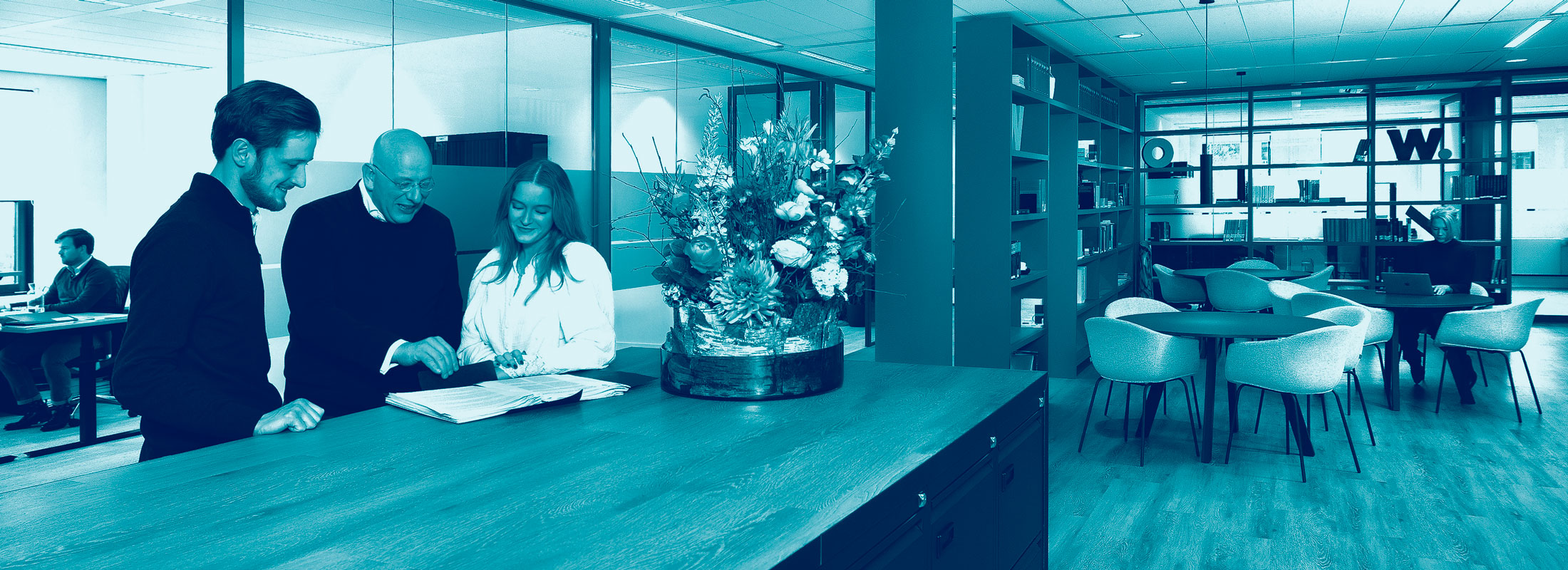 Advocaatstagiaire WatsonLaw